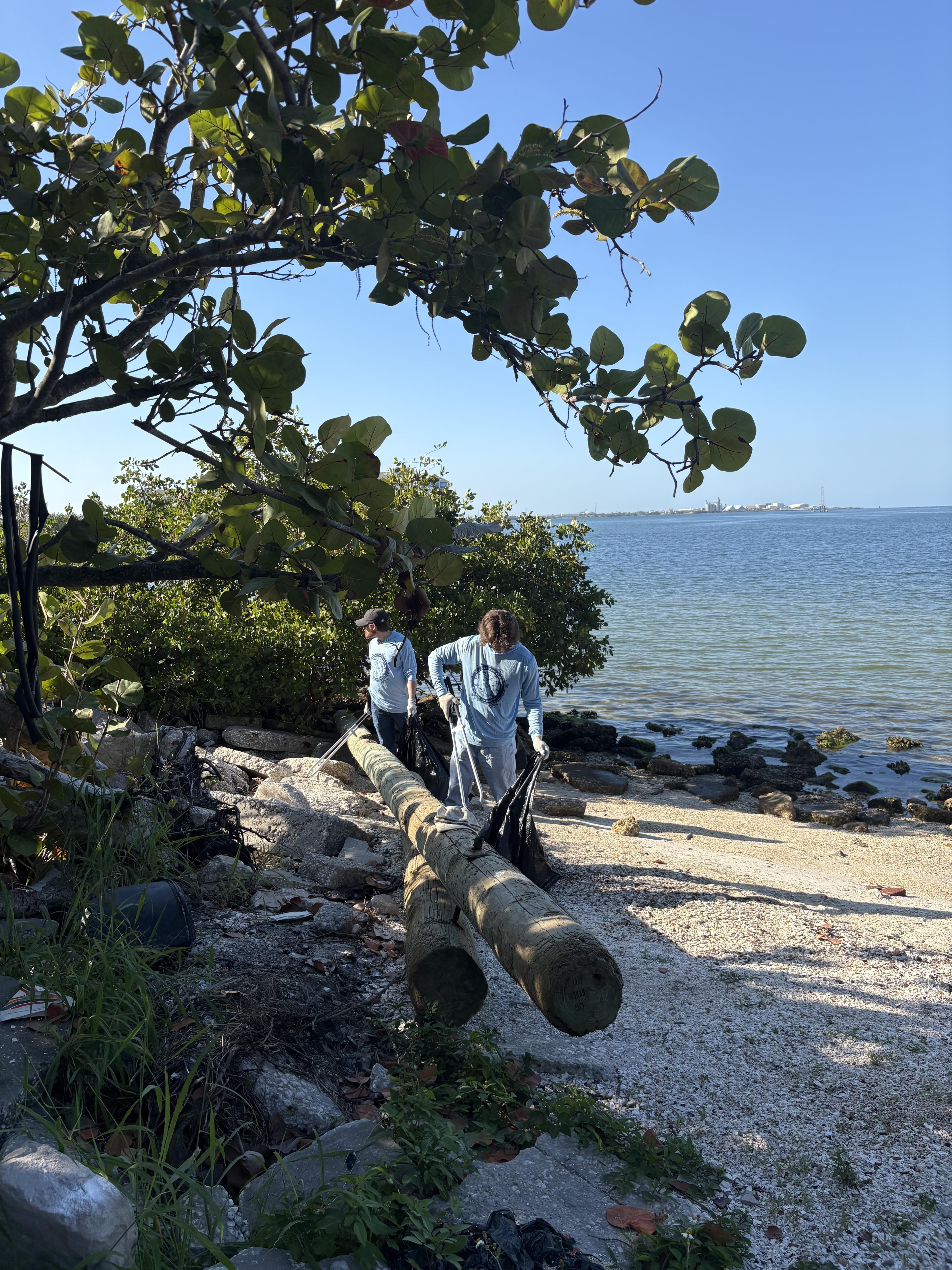 Volunteers cleaning the Tampa Bay shoreline